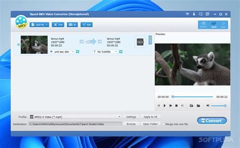Tipard Video Enhancer 9.2.52
